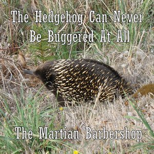 The Hedgehog Can Never Be Buggered At All
